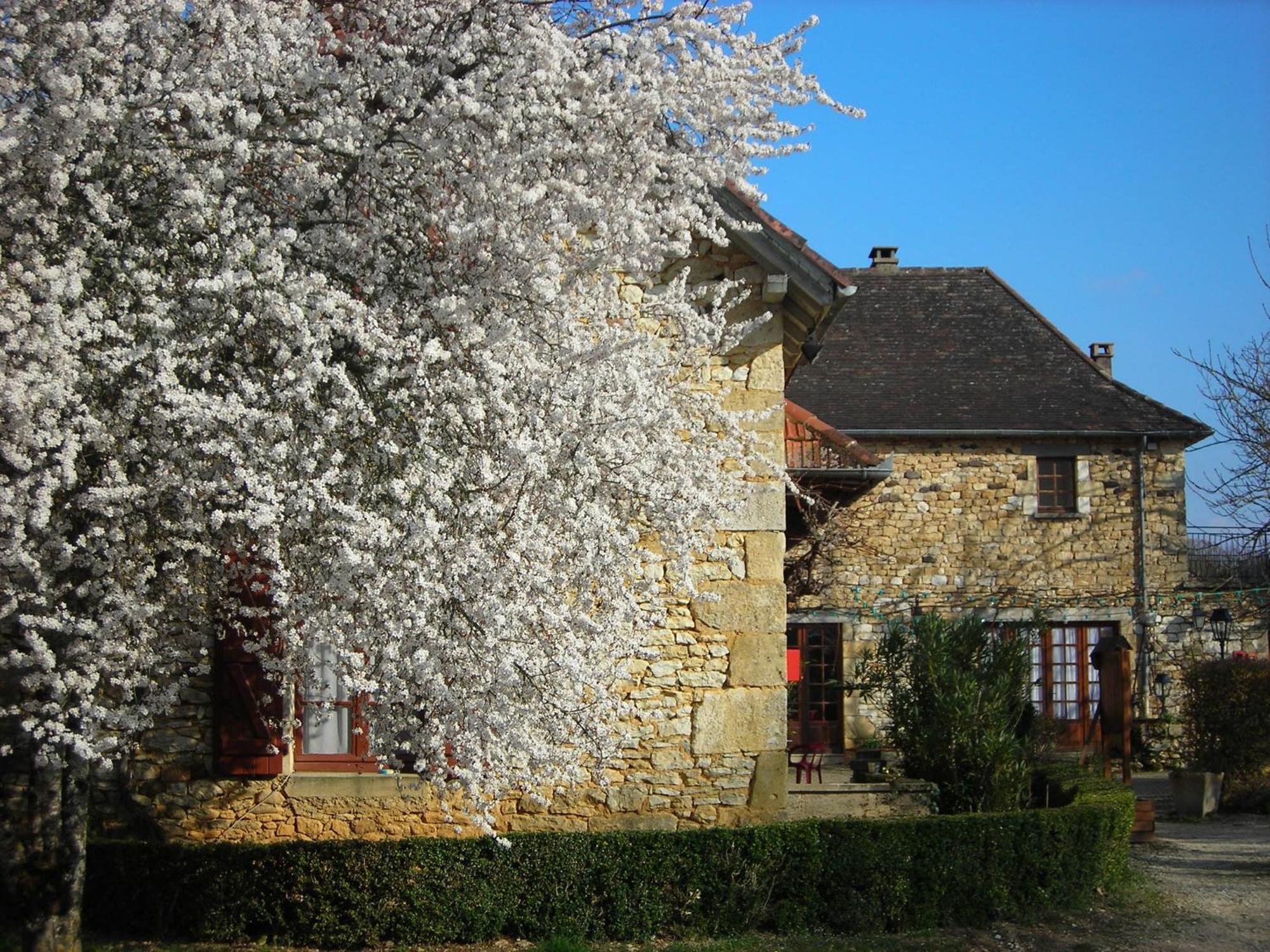 Hôtel Chastrusse Nadaillac-de-Rouge Exterior foto